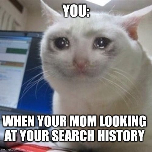 Crying cat | YOU:; WHEN YOUR MOM LOOKING AT YOUR SEARCH HISTORY | image tagged in crying cat | made w/ Imgflip meme maker