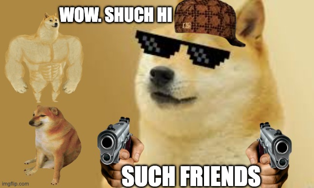 oijf | WOW. SHUCH HI; SUCH FRIENDS | image tagged in hjfhdgj | made w/ Imgflip meme maker