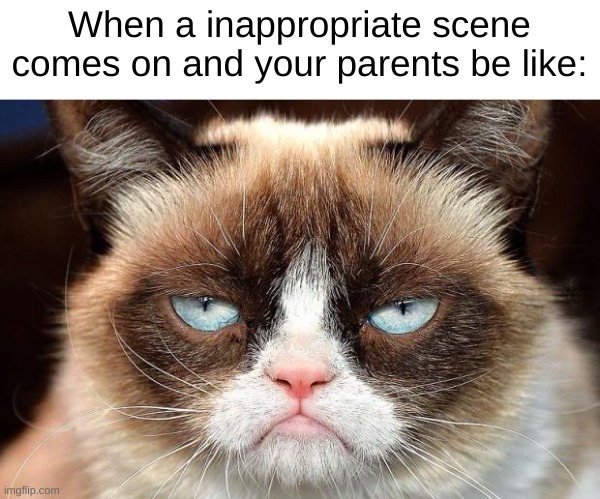 Only my mom does this | When a inappropriate scene comes on and your parents be like: | image tagged in grumpy cat glare,true | made w/ Imgflip meme maker