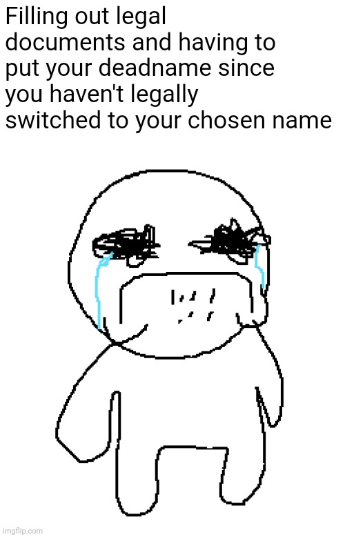 Filling out legal documents and having to put your deadname since you haven't legally switched to your chosen name | made w/ Imgflip meme maker