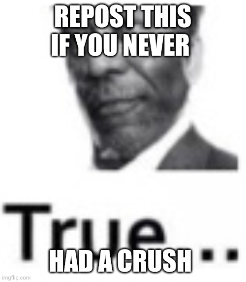 True... | REPOST THIS IF YOU NEVER; HAD A CRUSH | image tagged in true | made w/ Imgflip meme maker