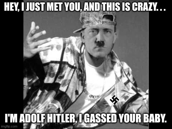 Yung adolf | HEY, I JUST MET YOU, AND THIS IS CRAZY. . . I'M ADOLF HITLER, I GASSED YOUR BABY. | image tagged in grammar nazi rap,hitler,nazi,gangsta,music | made w/ Imgflip meme maker