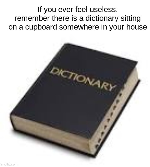 meme--- an idea that is passed from one member of society to another, not in the genes but often by people copying it | If you ever feel useless, remember there is a dictionary sitting on a cupboard somewhere in your house | image tagged in dictionary,meme | made w/ Imgflip meme maker