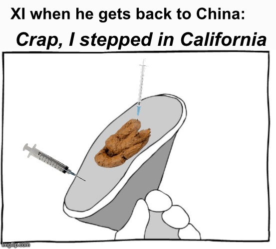 Stepped in crap | XI when he gets back to China:; Crap, I stepped in California | image tagged in politics lol,memes | made w/ Imgflip meme maker