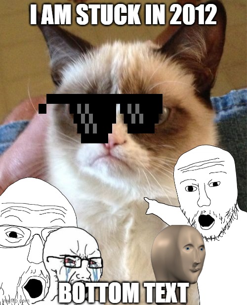 Grumpy Cat | I AM STUCK IN 2012; BOTTOM TEXT | image tagged in memes,grumpy cat | made w/ Imgflip meme maker