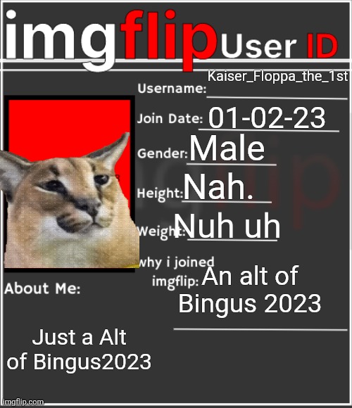 Ñiños | Kaiser_Floppa_the_1st; 01-02-23; Male; Nah. Nuh uh; An alt of Bingus 2023; Just a Alt of Bingus2023 | image tagged in imgflip user id | made w/ Imgflip meme maker