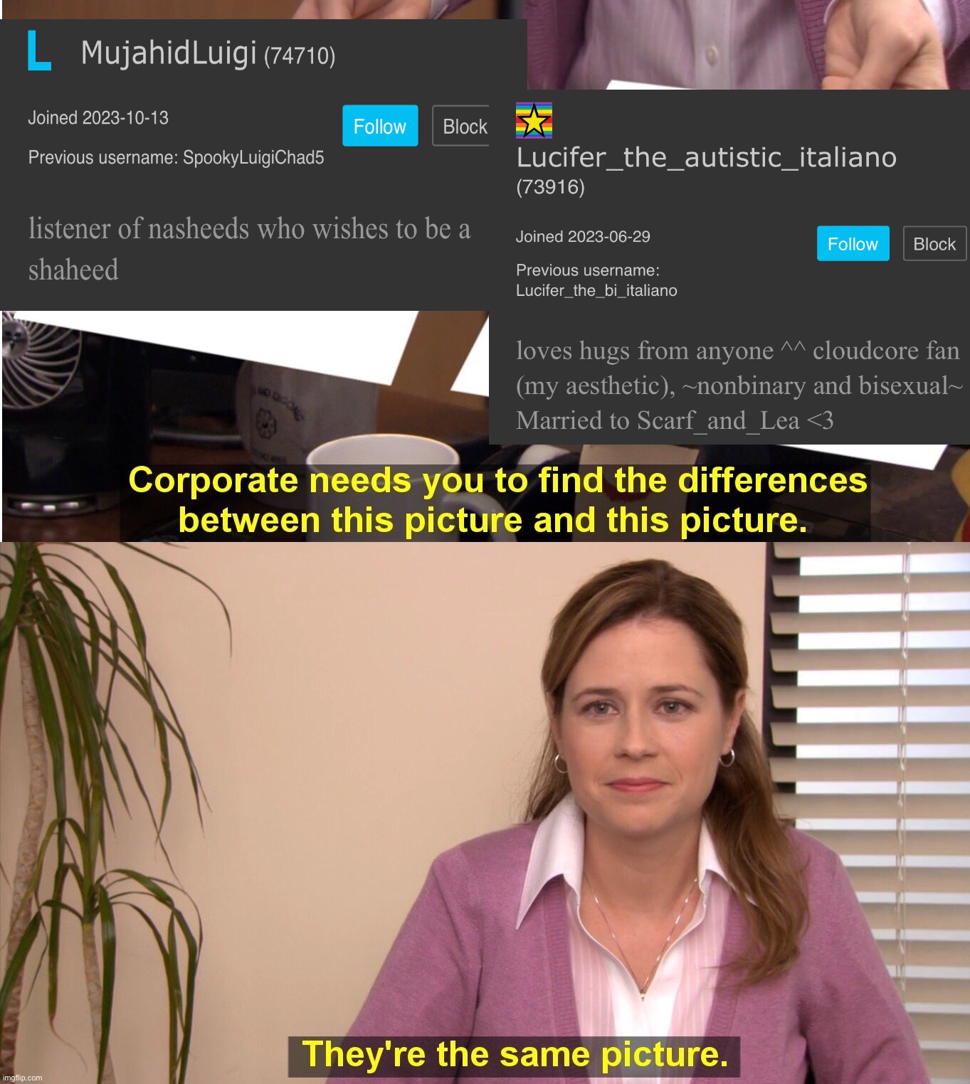 Making fun of someone on the internet because I’m a bully | image tagged in memes,they're the same picture | made w/ Imgflip meme maker