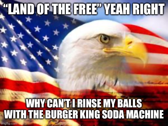 They would be fizzy | “LAND OF THE FREE” YEAH RIGHT; WHY CAN’T I RINSE MY BALLS WITH THE BURGER KING SODA MACHINE | image tagged in american flag | made w/ Imgflip meme maker