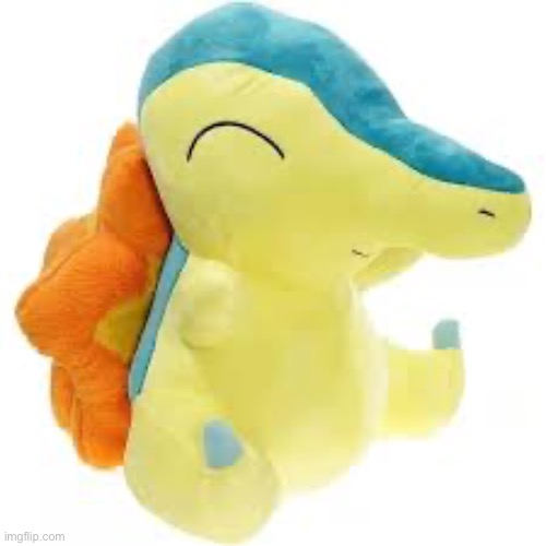 Cyndaquill plush | image tagged in cyndaquill plush | made w/ Imgflip meme maker