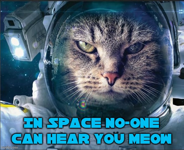 Space cat | IN SPACE NO-ONE CAN HEAR YOU MEOW | image tagged in meow,cat,spacesuit | made w/ Imgflip meme maker