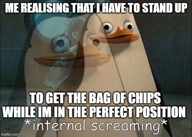 i hate it when this happens | ME REALISING THAT I HAVE TO STAND UP; TO GET THE BAG OF CHIPS WHILE IM IN THE PERFECT POSITION | image tagged in private internal screaming | made w/ Imgflip meme maker