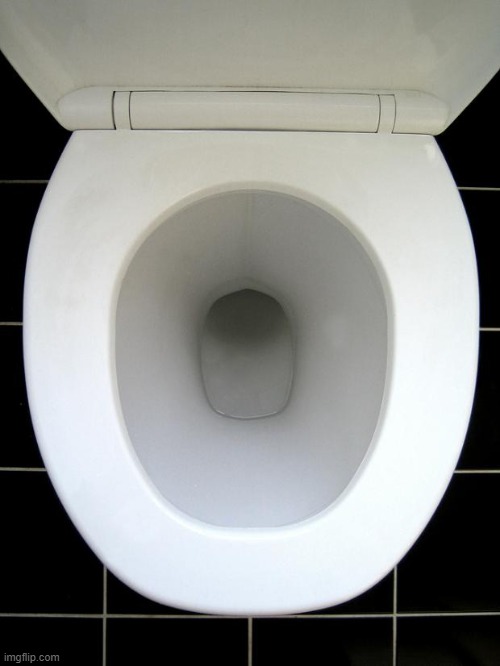 TOILET | image tagged in toilet | made w/ Imgflip meme maker