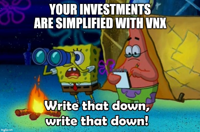 VNX | YOUR INVESTMENTS ARE SIMPLIFIED WITH VNX | image tagged in write that down | made w/ Imgflip meme maker
