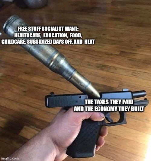 FREE STUFF SOCIALIST WANT: HEALTHCARE,  EDUCATION,  FOOD, CHILDCARE, SUBSIDIZED DAYS OFF, AND  HEAT; THE TAXES THEY PAID AND THE ECONOMY THEY BUILT | image tagged in funny memes | made w/ Imgflip meme maker