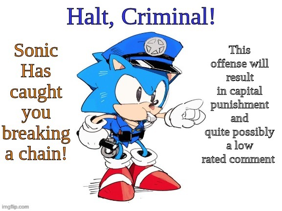 Halt Criminal (Sonic) | image tagged in halt criminal sonic | made w/ Imgflip meme maker