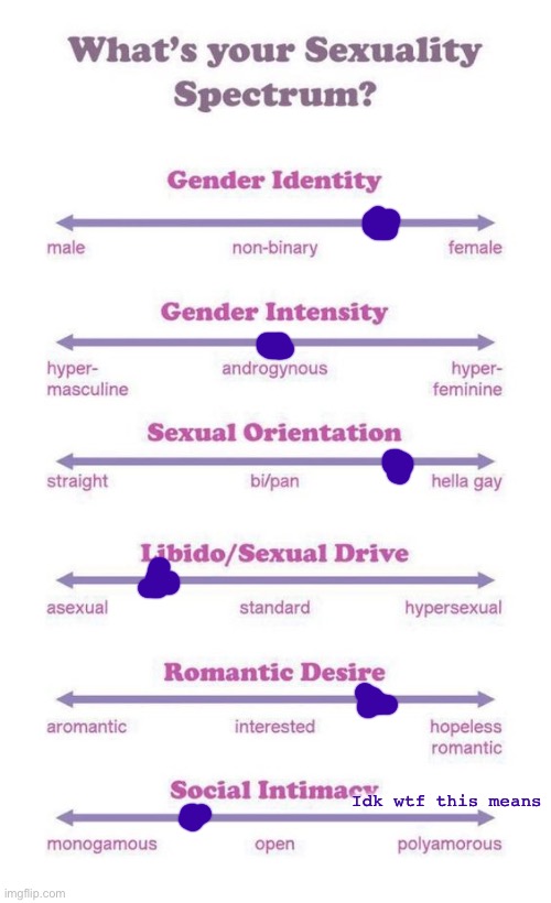 What's your sexuality spectrum? | Idk wtf this means | image tagged in what's your sexuality spectrum | made w/ Imgflip meme maker