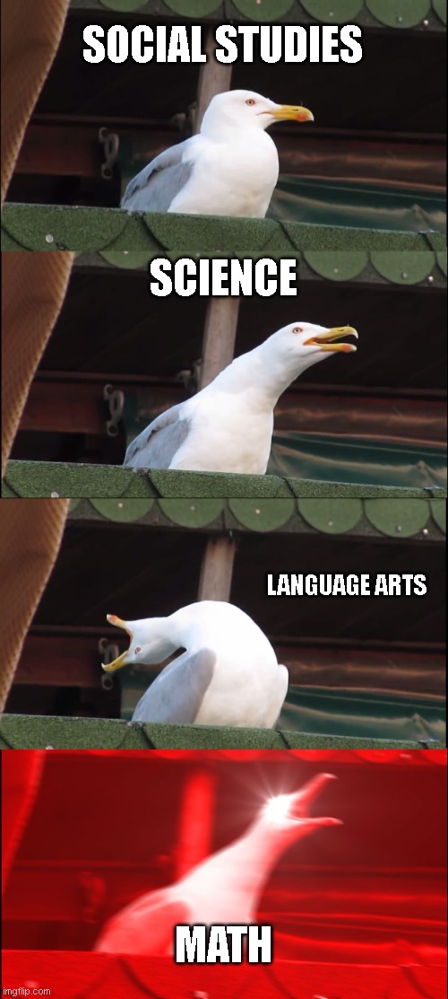 Inhaling Seagull | SOCIAL STUDIES; SCIENCE; LANGUAGE ARTS; MATH | image tagged in memes,inhaling seagull | made w/ Imgflip meme maker