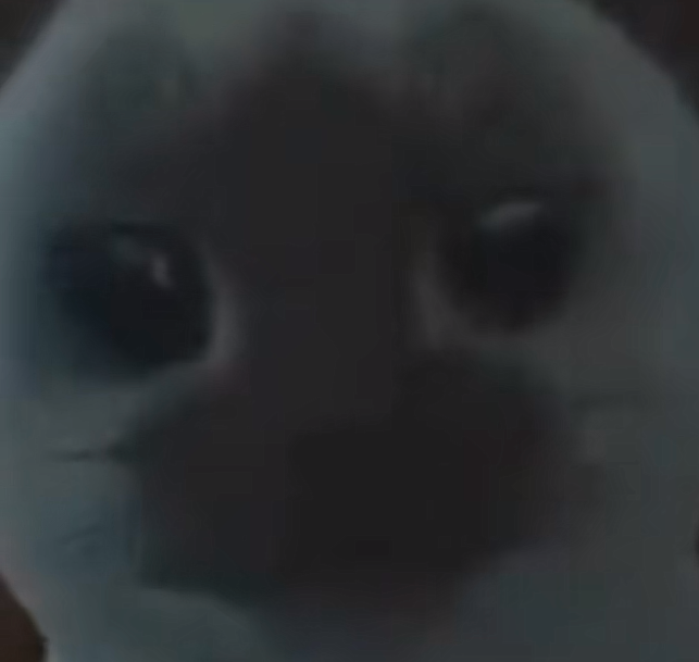 He’s so portugeese Blank Meme Template