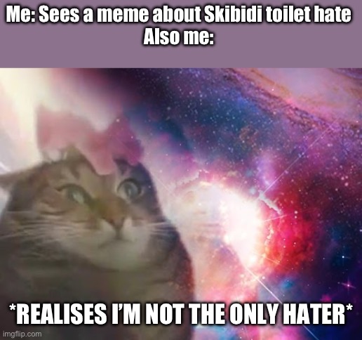 The prophecy is true | Me: Sees a meme about Skibidi toilet hate 
Also me:; *REALISES I’M NOT THE ONLY HATER* | image tagged in the prophecy is true cat | made w/ Imgflip meme maker