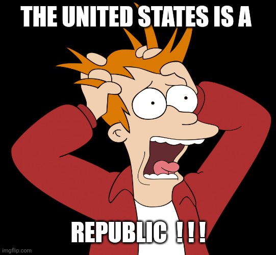 Futurama Fry Screaming | THE UNITED STATES IS A REPUBLIC  ! ! ! | image tagged in futurama fry screaming | made w/ Imgflip meme maker