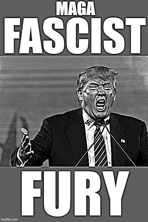 trump yelling | MAGA; FASCIST; FURY | image tagged in fascist,commie,dictator,maga,trump putin,worse than hitler | made w/ Imgflip meme maker