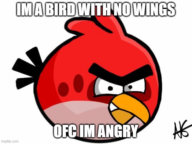 Angry Bird Imgflip