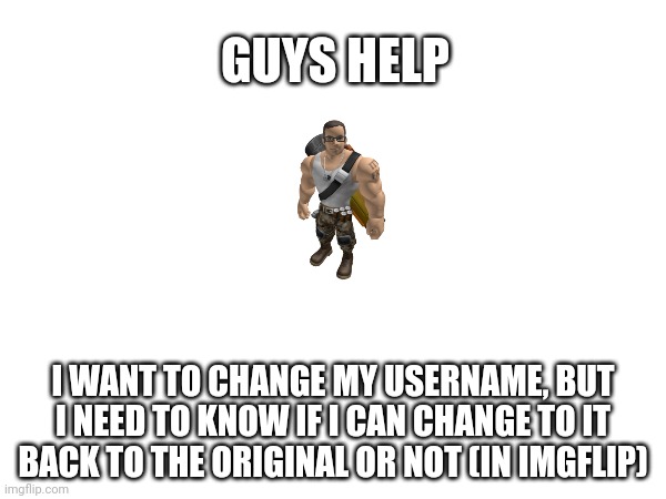 comment help pls | GUYS HELP; I WANT TO CHANGE MY USERNAME, BUT I NEED TO KNOW IF I CAN CHANGE TO IT BACK TO THE ORIGINAL OR NOT (IN IMGFLIP) | image tagged in help,help me | made w/ Imgflip meme maker