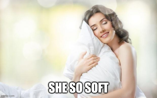 Soft Pillow | SHE SO SOFT | image tagged in soft pillow | made w/ Imgflip meme maker