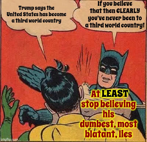 Trump Insults The Country Of His Birth And The State Of His Birth | If you believe that then CLEARLY
you've never been to a third world country! Trump says the United States has become a third world country; At LEAST stop believing his dumbest, most blatant, lies; LEAST | image tagged in memes,batman slapping robin,lock him up,scumbag trump,scumbag maga,scumbag republicans | made w/ Imgflip meme maker