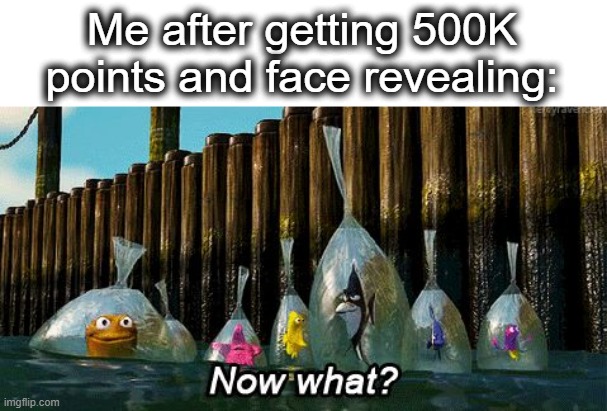 Now What? | Me after getting 500K points and face revealing: | image tagged in now what,not relatable,not funny,unfunny user,i'm ugly tbh,lol | made w/ Imgflip meme maker