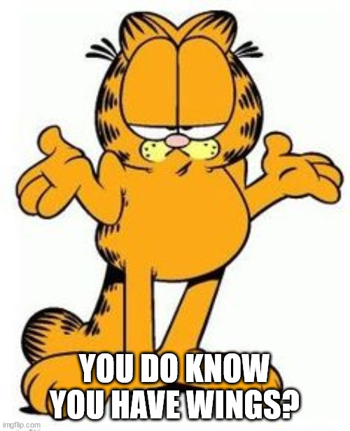 Garfield shrug | YOU DO KNOW YOU HAVE WINGS? | image tagged in garfield shrug | made w/ Imgflip meme maker