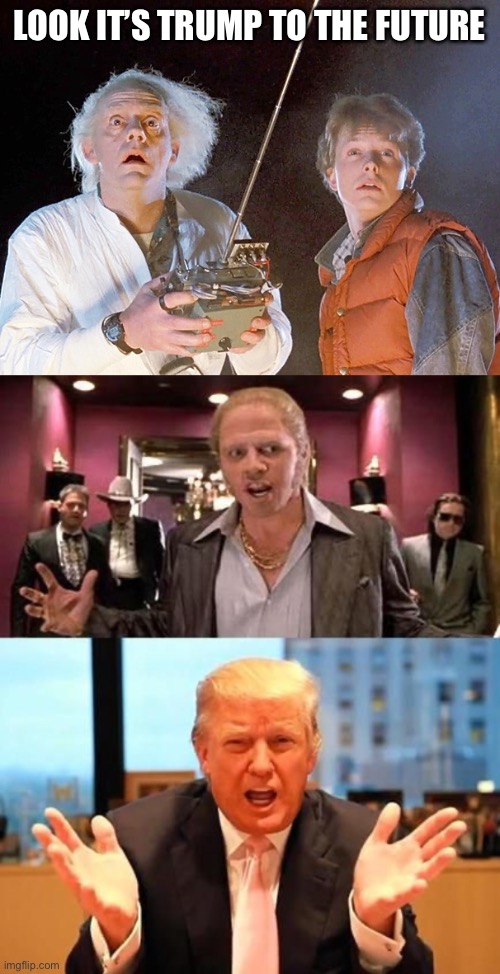 LOOK IT’S TRUMP TO THE FUTURE | image tagged in back to the future,biff trump | made w/ Imgflip meme maker