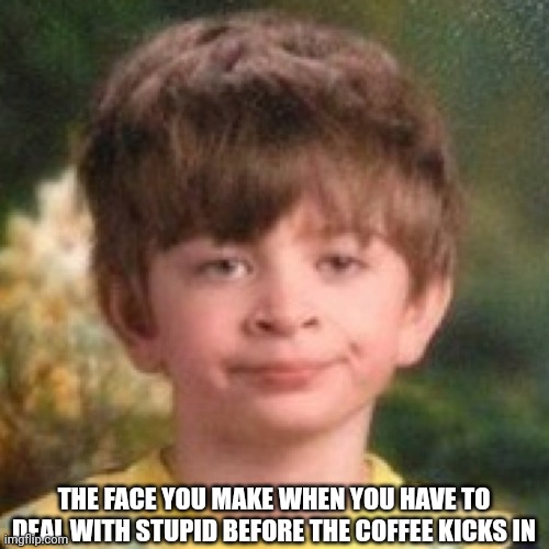 You owe me a cup of coffee! | THE FACE YOU MAKE WHEN YOU HAVE TO DEAL WITH STUPID BEFORE THE COFFEE KICKS IN | image tagged in annoyed face | made w/ Imgflip meme maker