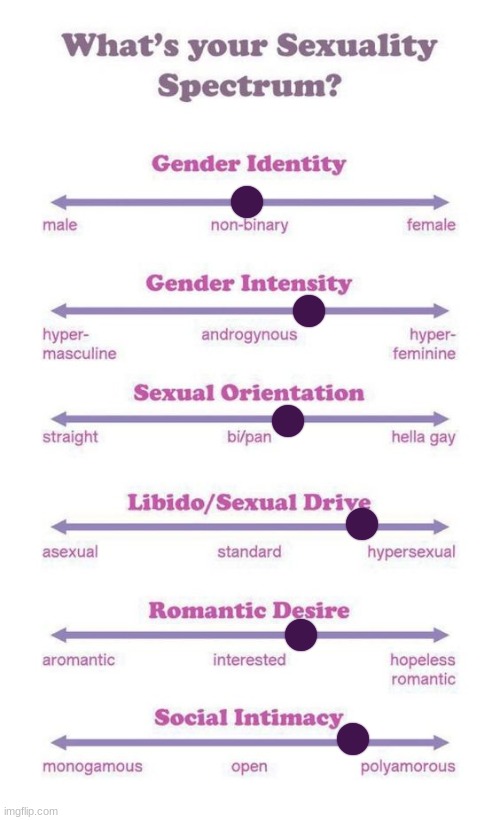 idk | image tagged in what's your sexuality spectrum | made w/ Imgflip meme maker