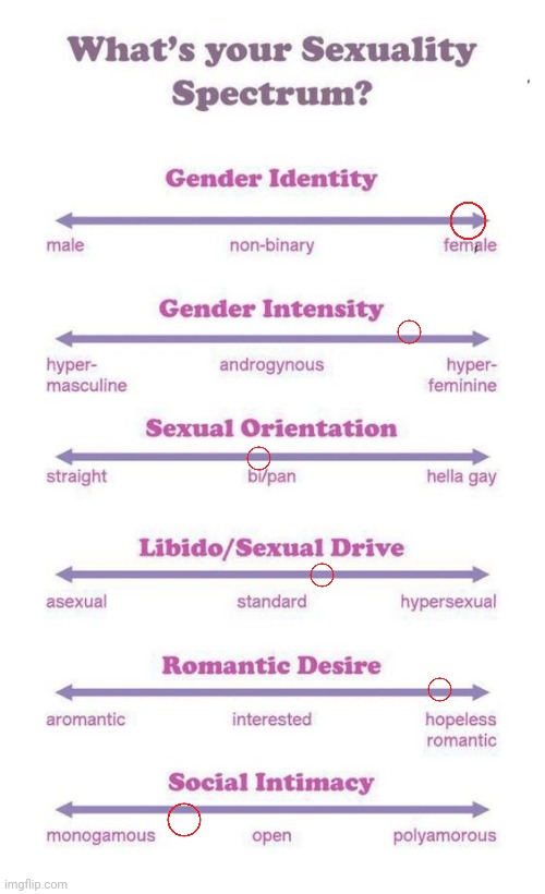 (^^)d | image tagged in what's your sexuality spectrum | made w/ Imgflip meme maker