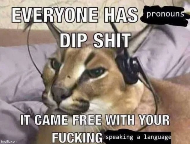 Everyone has pronouns dipshit | image tagged in everyone has pronouns dipshit | made w/ Imgflip meme maker