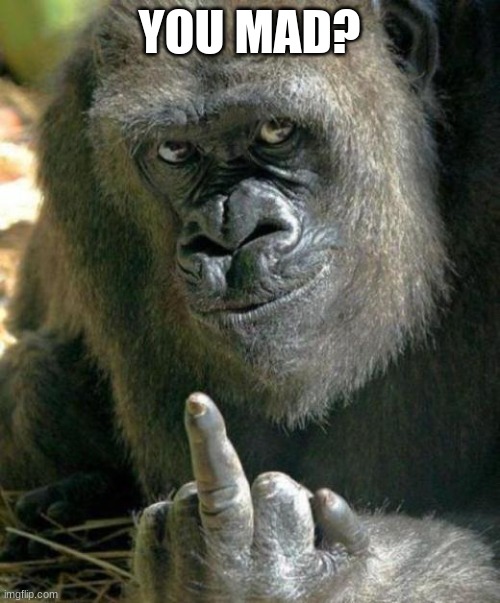 YOU MAD? | image tagged in gorilla middle finger | made w/ Imgflip meme maker