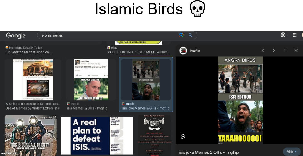 bouta hit the WTC and not any pigs cuz haram | Islamic Birds 💀 | made w/ Imgflip meme maker