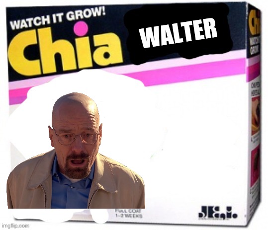 chia pet blank | WALTER | image tagged in chia pet blank | made w/ Imgflip meme maker