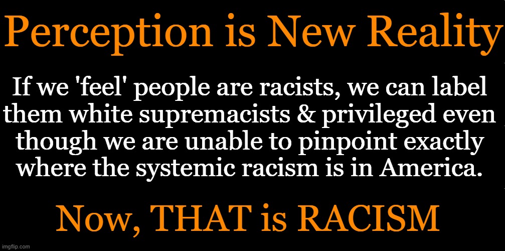 Perception is New Reality; If we 'feel' people are racists, we can label 
them white supremacists & privileged even 
though we are unable to pinpoint exactly 
where the systemic racism is in America. Now, THAT is RACISM | image tagged in politics,blm,systemic racism,perception,reality,now reality can be whatever i want | made w/ Imgflip meme maker