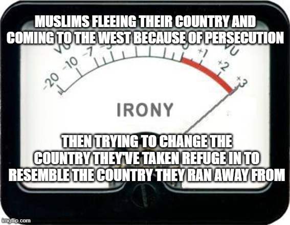 Irony Meter | MUSLIMS FLEEING THEIR COUNTRY AND COMING TO THE WEST BECAUSE OF PERSECUTION; THEN TRYING TO CHANGE THE COUNTRY THEY'VE TAKEN REFUGE IN TO RESEMBLE THE COUNTRY THEY RAN AWAY FROM | image tagged in irony meter | made w/ Imgflip meme maker