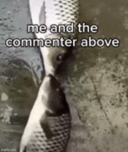 Fish | made w/ Imgflip meme maker