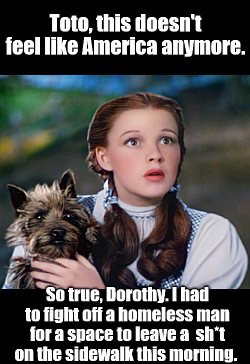 Toto knows what the Wokesters cannot comprehend | Toto, this doesn't feel like America anymore. So true, Dorothy. I had to fight off a homeless man for a space to leave a  sh*t on the sidewalk this morning. | image tagged in memes,politics,wizard of oz,toto | made w/ Imgflip meme maker