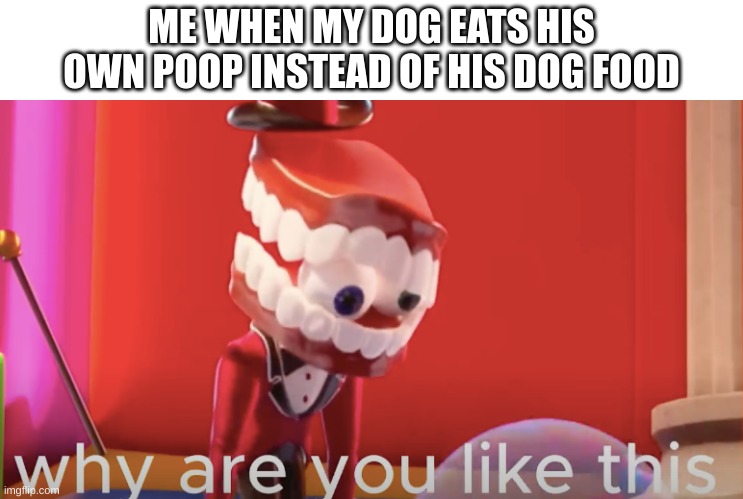 (╯°□°）╯︵ ┻━┻ | ME WHEN MY DOG EATS HIS OWN POOP INSTEAD OF HIS DOG FOOD | image tagged in caine why are you like this | made w/ Imgflip meme maker