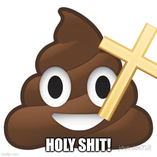 poop | HOLY SHIT! | image tagged in poop | made w/ Imgflip meme maker