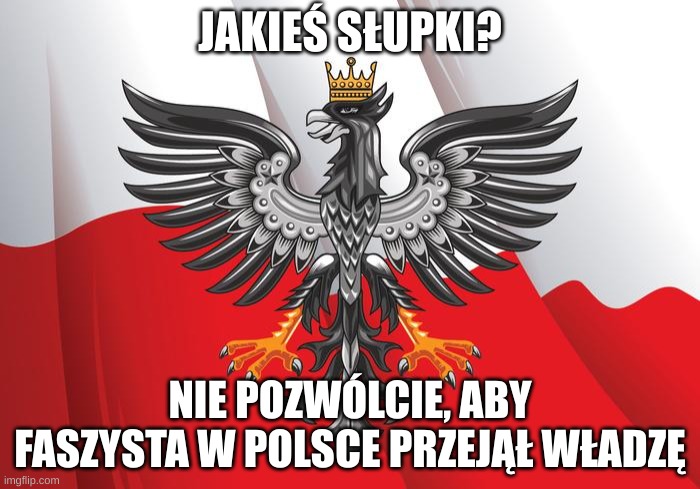 Polish Flag | JAKIEŚ SŁUPKI? NIE POZWÓLCIE, ABY FASZYSTA W POLSCE PRZEJĄŁ WŁADZĘ | image tagged in polish flag | made w/ Imgflip meme maker