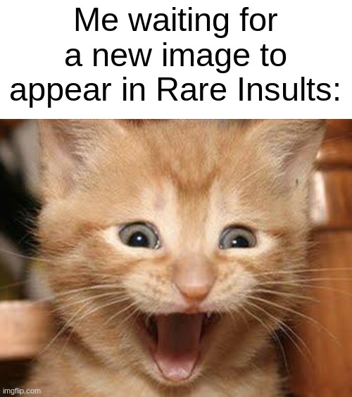 Can't wait to see the next one! | Me waiting for a new image to appear in Rare Insults: | image tagged in memes,excited cat,insult,insults,funny memes,dank memes | made w/ Imgflip meme maker
