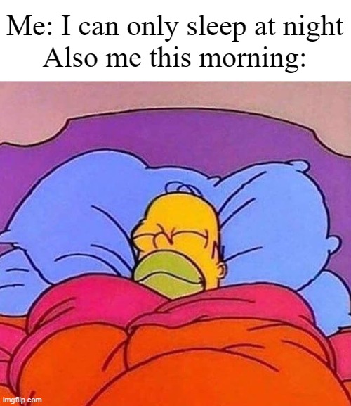 Typical me | Me: I can only sleep at night
Also me this morning: | image tagged in homer simpson sleeping peacefully | made w/ Imgflip meme maker