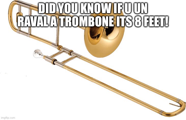 Meme | DID YOU KNOW IF U UN RAVAL A TROMBONE ITS 8 FEET! | image tagged in trombone | made w/ Imgflip meme maker