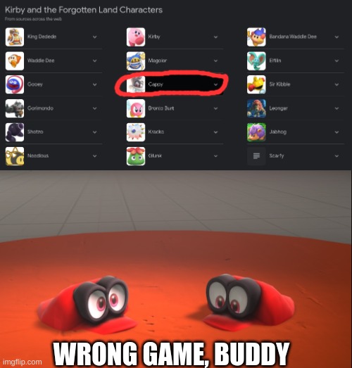 Just some nice Kirby charac- wait, what? | WRONG GAME, BUDDY | image tagged in kirby,super mario odyssey | made w/ Imgflip meme maker